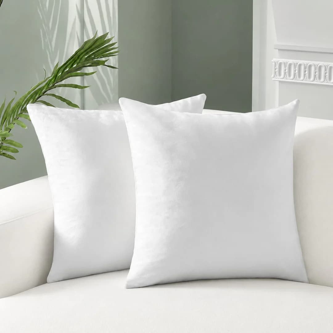 Filled Cushions - Pack of 2